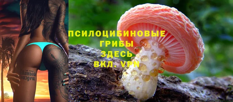 Псилоцибиновые грибы MAGIC MUSHROOMS  цена   Зеленодольск 